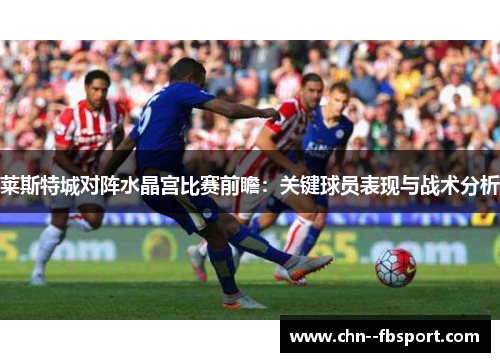 莱斯特城对阵水晶宫比赛前瞻：关键球员表现与战术分析