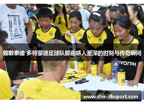 致敬泰迪 多特蒙德足球队那些感人至深的时刻与传奇瞬间