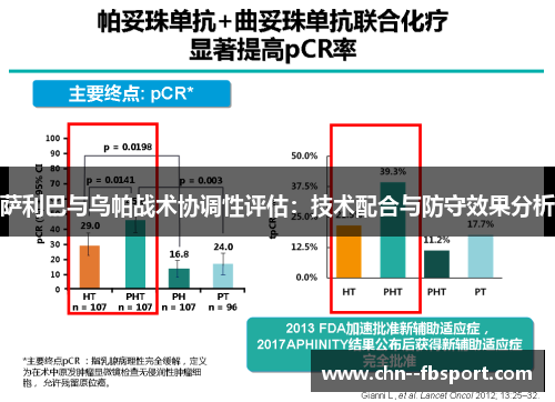 萨利巴与乌帕战术协调性评估：技术配合与防守效果分析