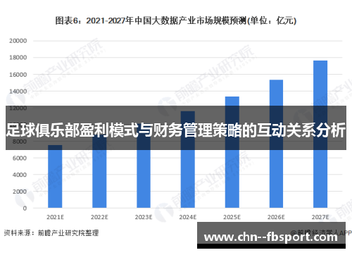 足球俱乐部盈利模式与财务管理策略的互动关系分析