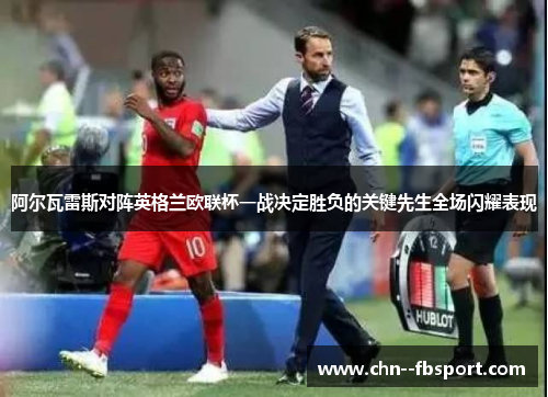 阿尔瓦雷斯对阵英格兰欧联杯一战决定胜负的关键先生全场闪耀表现